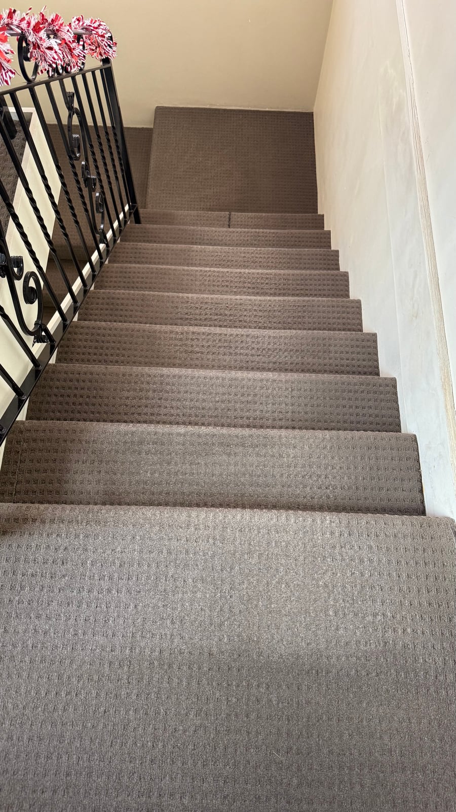 Carpet Maintenance