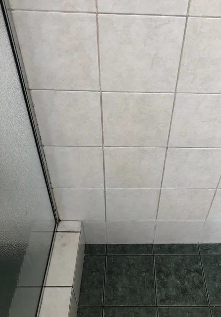 Bathroom tiles and grout — after cleaning