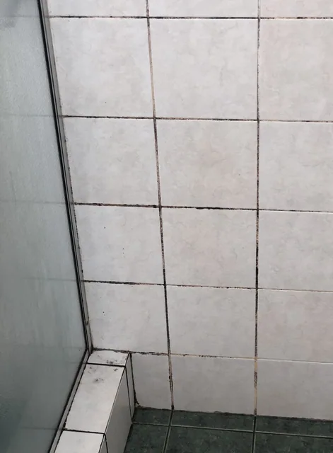 Bathroom tiles and grout — before cleaning