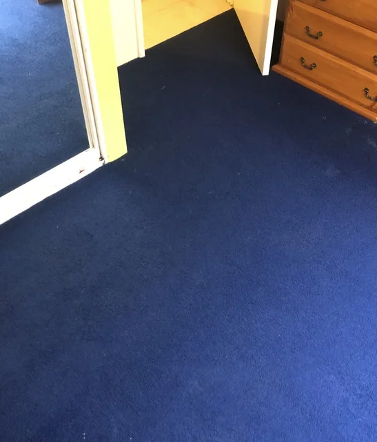 Blue carpet — after cleaning