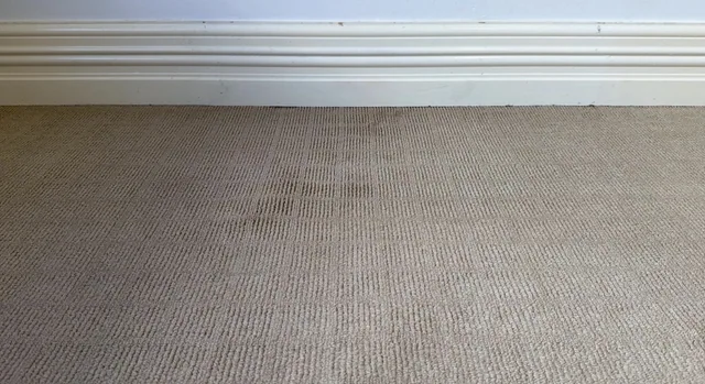 Carpet after makeup stain treatment