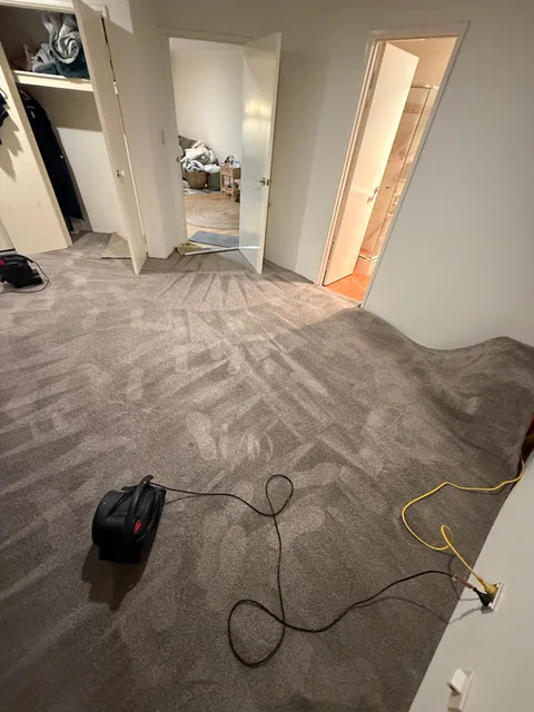 Carpet drying equipment during restoration