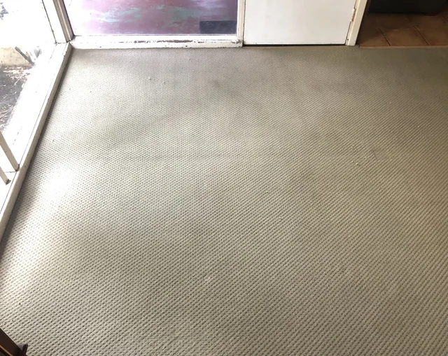Carpet near patio doors — after cleaning