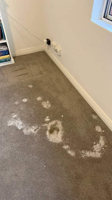 Carpet stains — before cleaning
