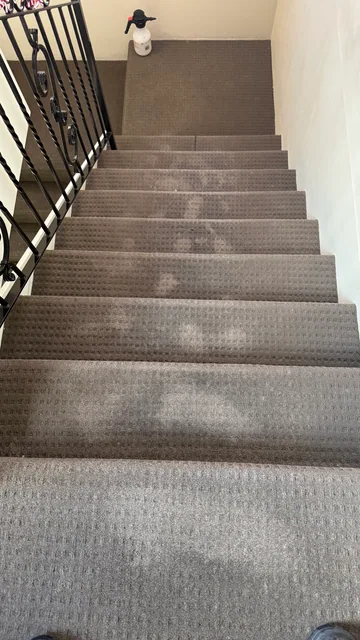 Carpeted stairs — before cleaning