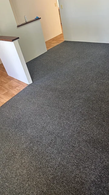 Dark carpet — after cleaning