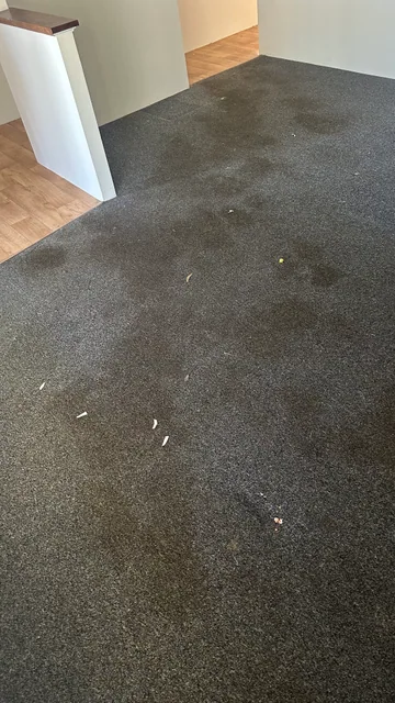 Dark carpet — before cleaning
