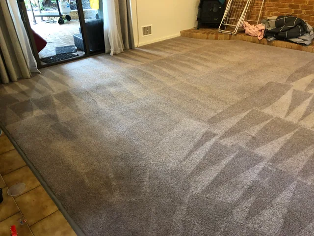 Living room carpet — after cleaning