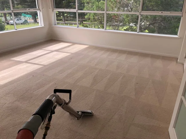 Professional carpet extraction cleaning